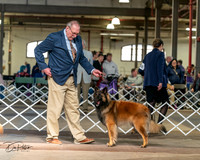 20240329-DSC05233