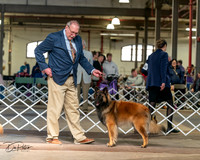 20240329-DSC05234