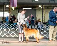 20240329-DSC05237