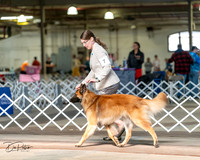 20240329-DSC05242