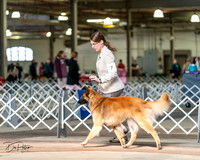 20240329-DSC05250