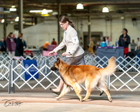 20240329-DSC05246