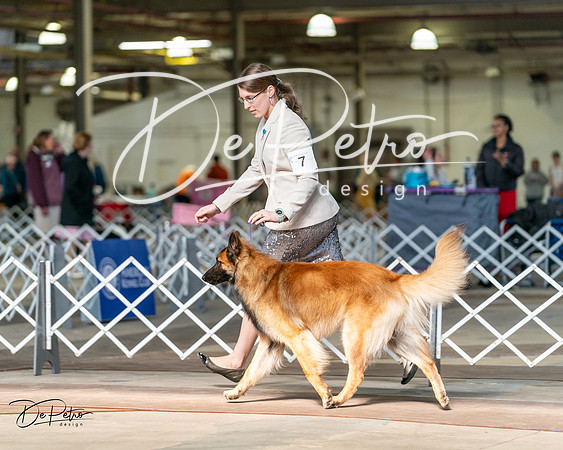 20240329-DSC05246
