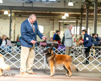 20240329-DSC05239