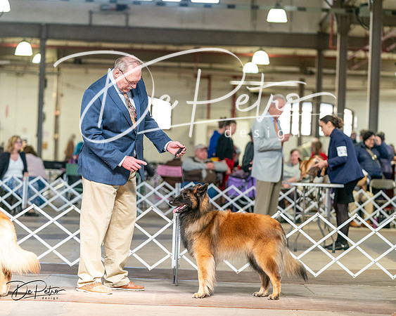 20240329-DSC05239