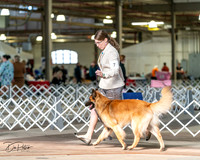 20240329-DSC05254