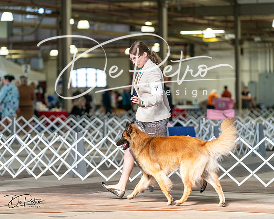 20240329-DSC05254