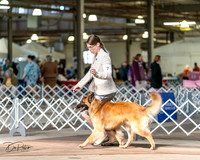 20240329-DSC05258