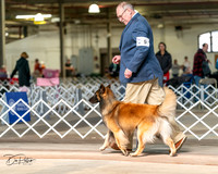 20240329-DSC05261