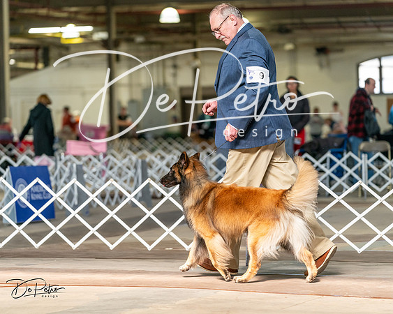 20240329-DSC05261