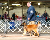 20240329-DSC05265