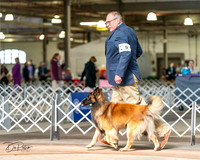 20240329-DSC05269