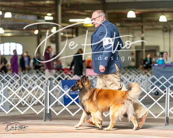 20240329-DSC05269