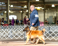 20240329-DSC05273