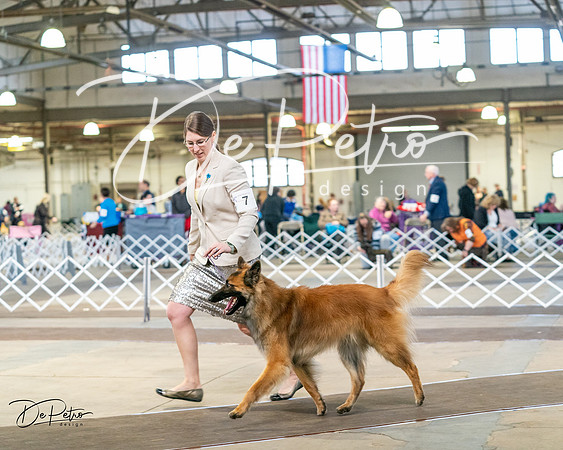 20240329-DSC05281
