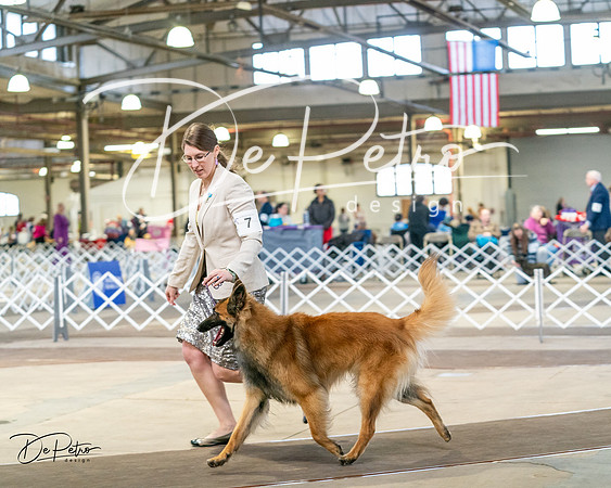 20240329-DSC05285
