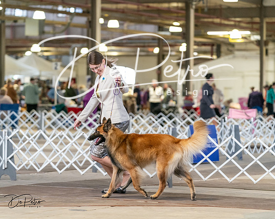 20240329-DSC05305