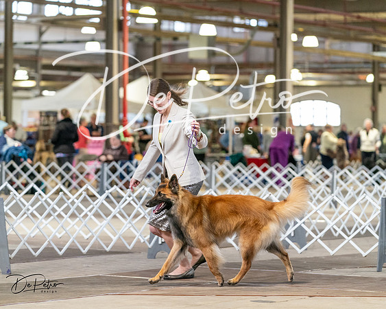 20240329-DSC05313