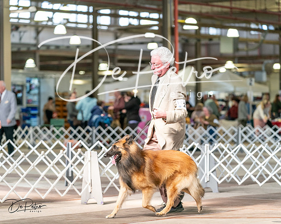 20240329-DSC05340