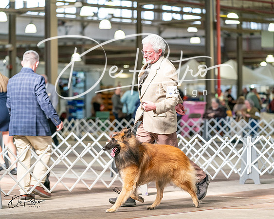 20240329-DSC05344