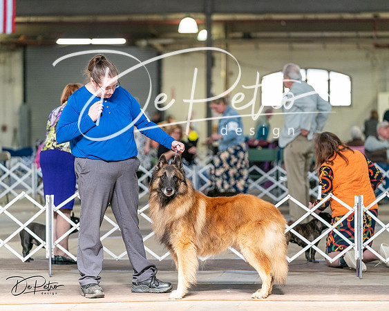 20240329-DSC05356