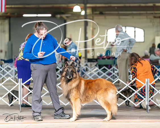 20240329-DSC05358