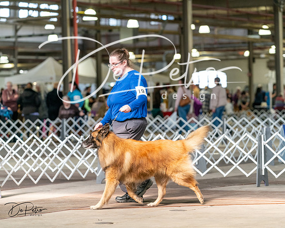 20240329-DSC05375