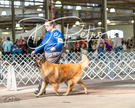 20240329-DSC05379