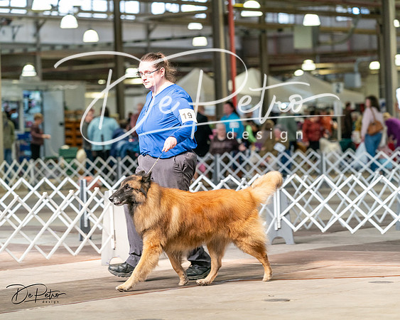 20240329-DSC05383