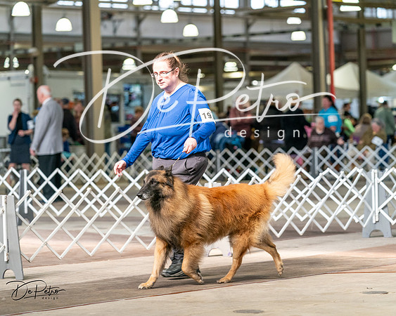 20240329-DSC05388
