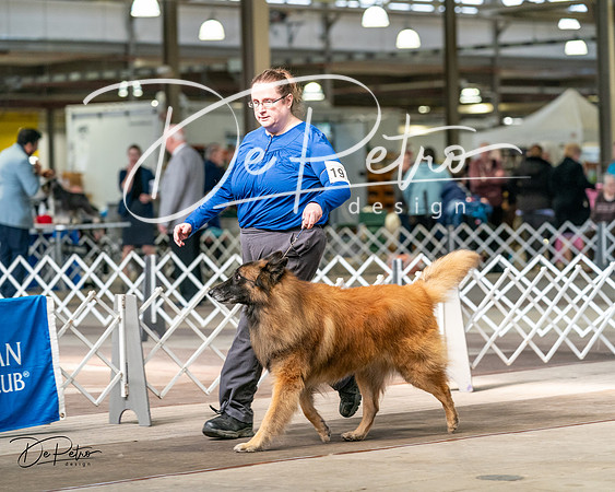 20240329-DSC05392