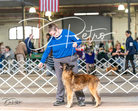 20240329-DSC05399