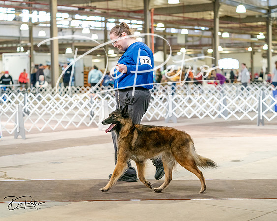 20240329-DSC05419