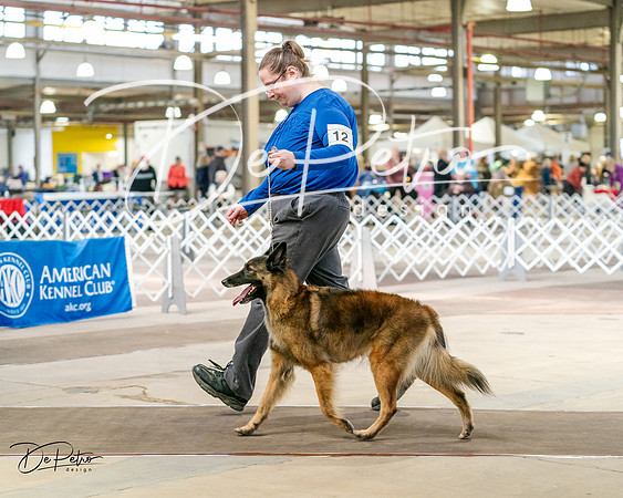 20240329-DSC05423