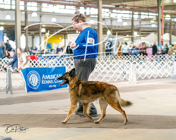 20240329-DSC05427