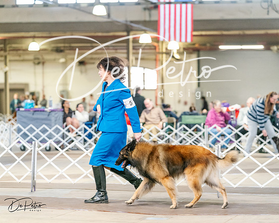 20240329-DSC05436