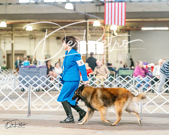 20240329-DSC05437