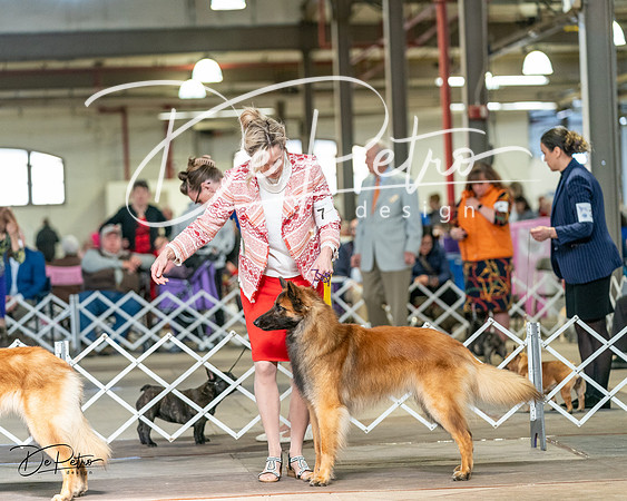 20240329-DSC05443