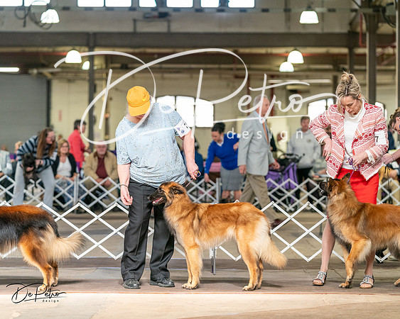 20240329-DSC05480
