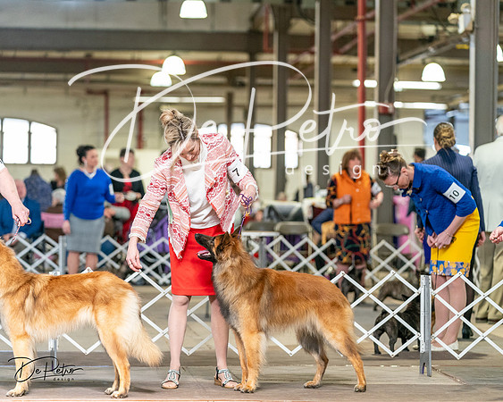 20240329-DSC05497