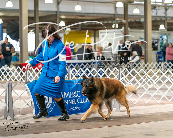20240329-DSC05510