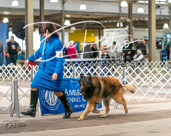 20240329-DSC05511