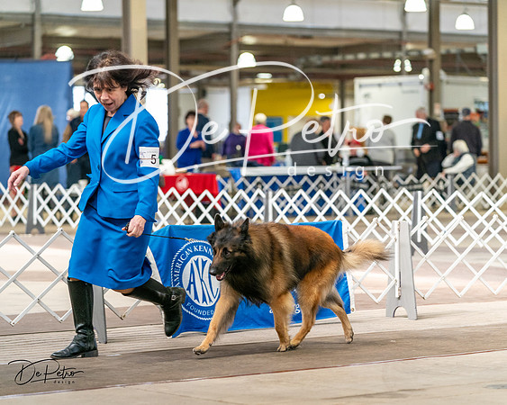 20240329-DSC05514
