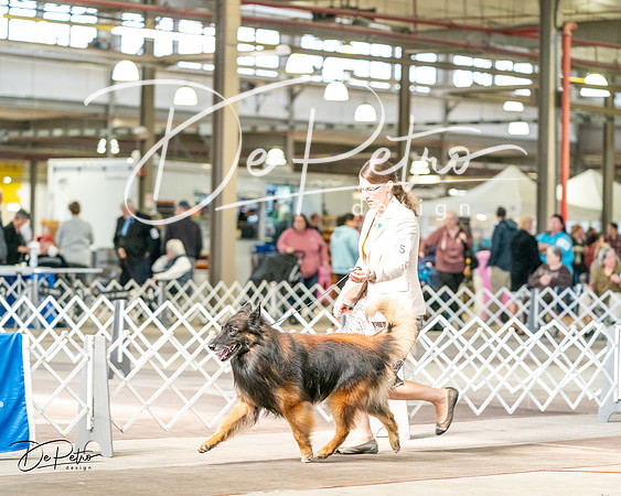 20240329-DSC05536