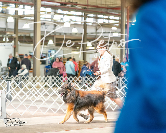 20240329-DSC05533
