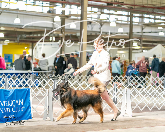 20240329-DSC05539