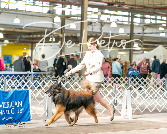 20240329-DSC05540