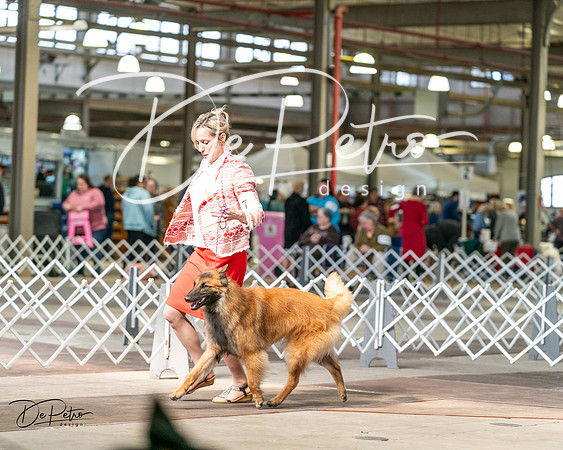 20240329-DSC05560