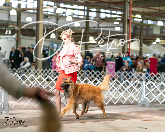 20240329-DSC05564