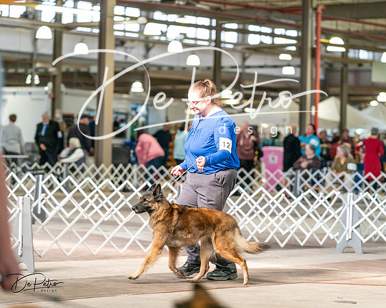 20240329-DSC05574